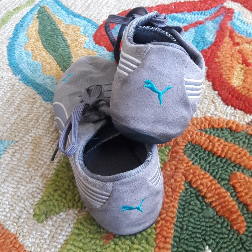 Pumas - Picture 3 of 5